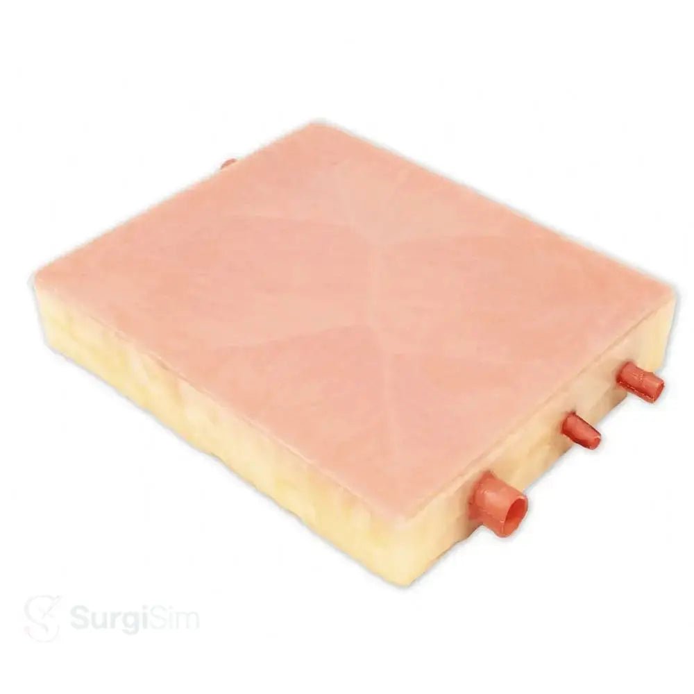 Embedded Carotid Arteries with Plaque & Dermis Model | Carotid Endarterectomy Training Simulator - Suture Training Pad