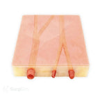 Embedded Carotid Arteries with Plaque & Dermis Model | Carotid Endarterectomy Training Simulator - Suture Training Pad