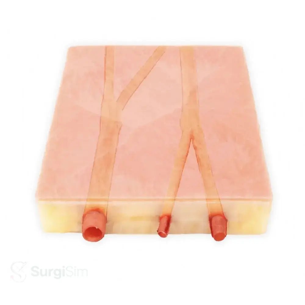 Embedded Carotid Arteries with Plaque & Dermis Model | Carotid Endarterectomy Training Simulator - Suture Training Pad