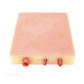 Embedded Carotid Arteries with Plaque & Dermis Model | Carotid Endarterectomy Training Simulator - Suture Training Pad