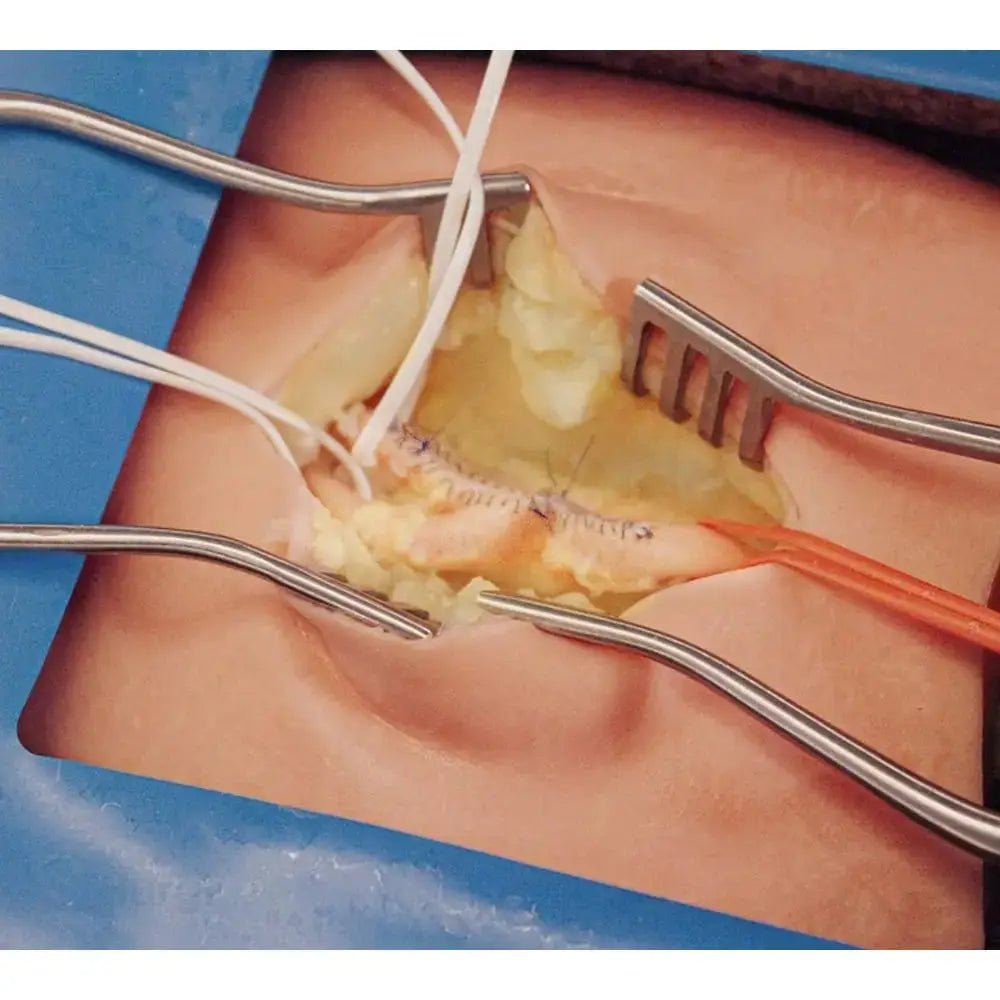 Femoral Endarterectomy & Groin Dissection Training Simulator - Vascular Surgery & Anastomosis Surgical Training Models
