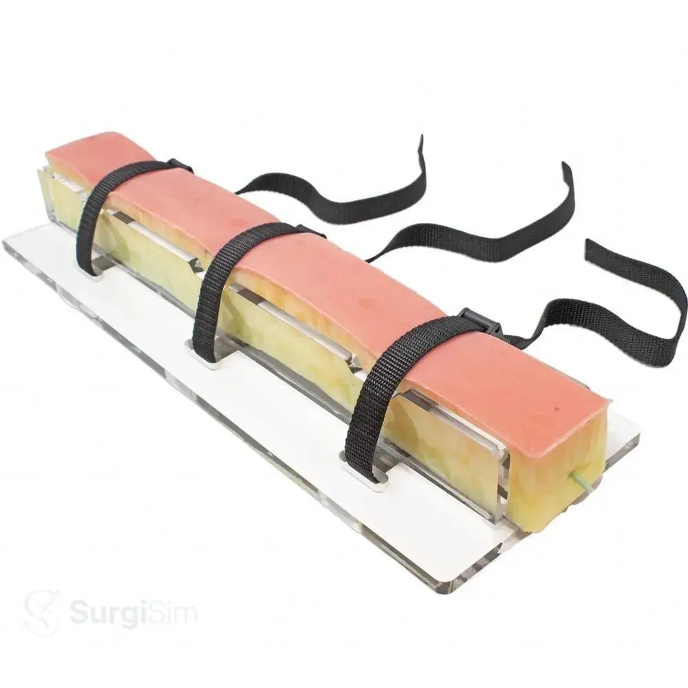 Great saphenous vein harvesting training model surgical platform