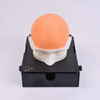 Hair Transplant Training Kit - Hair Transplant Mannequin