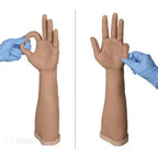 Surgical skills simulator hand anatomy model