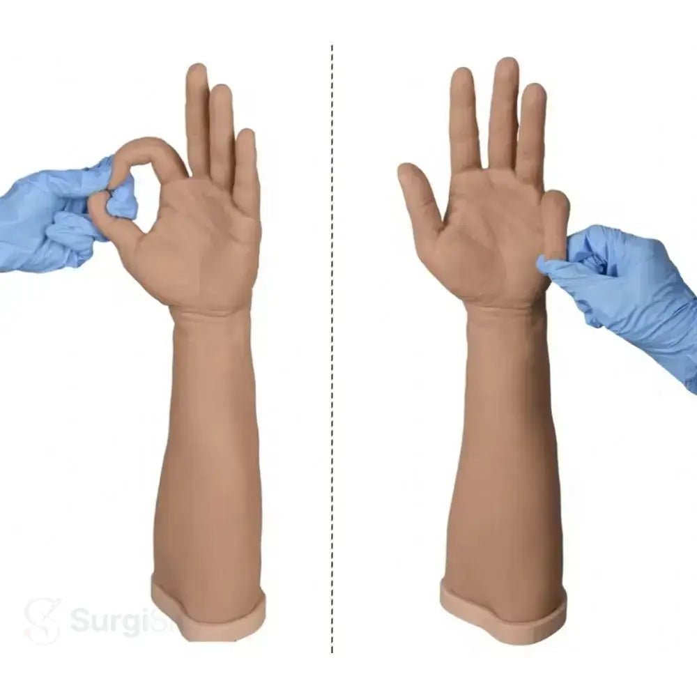 Surgical skills simulator hand anatomy model