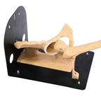 Hip CAM Lesion & Pincer Arthroscopy Training Set - Arthroscopy Training Kits