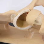 Hip CAM Lesion & Pincer Arthroscopy Training Set - Arthroscopy Training Kits