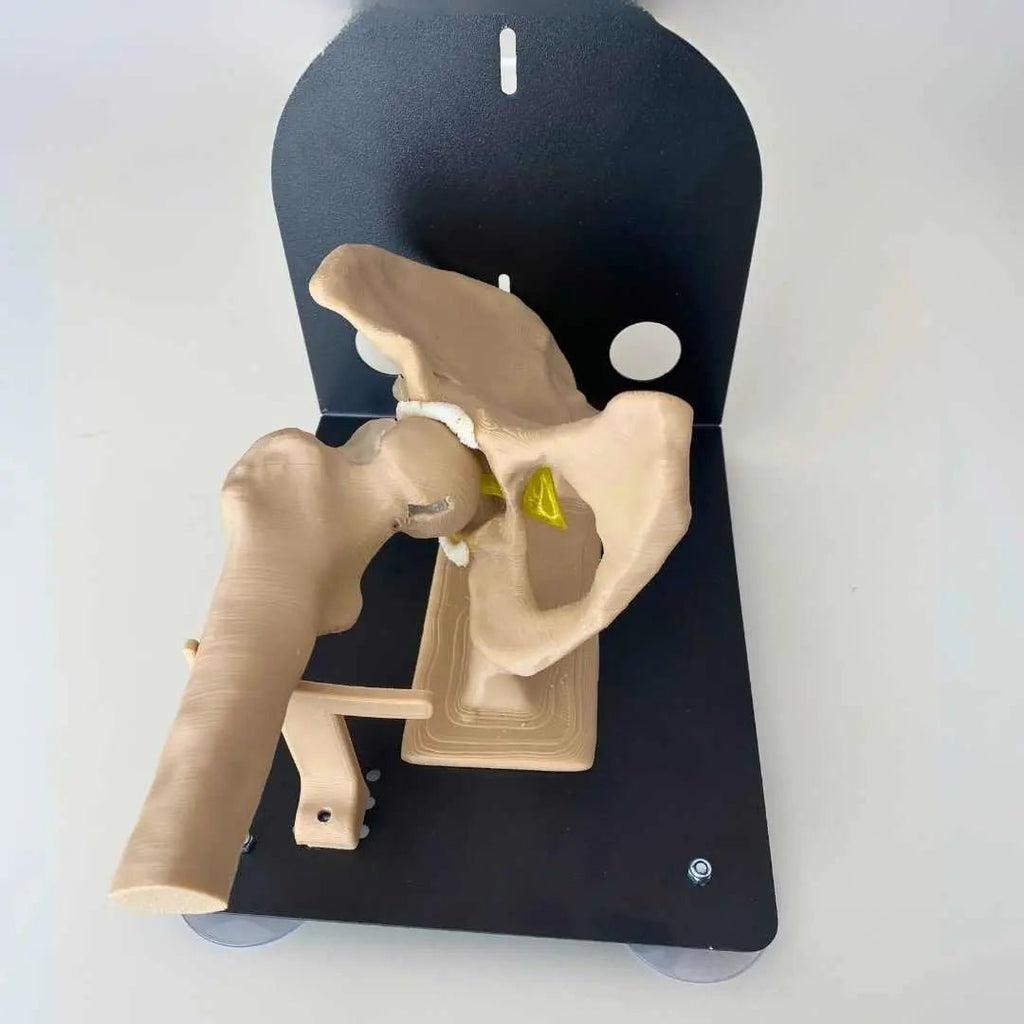 Hip CAM Lesion & Pincer Arthroscopy Training Set - Arthroscopy Training Kits
