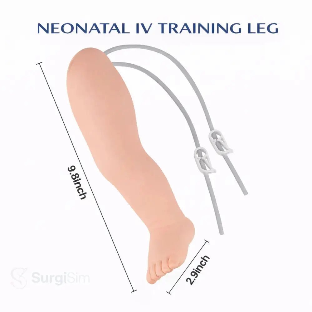 Clinical skills infant training model