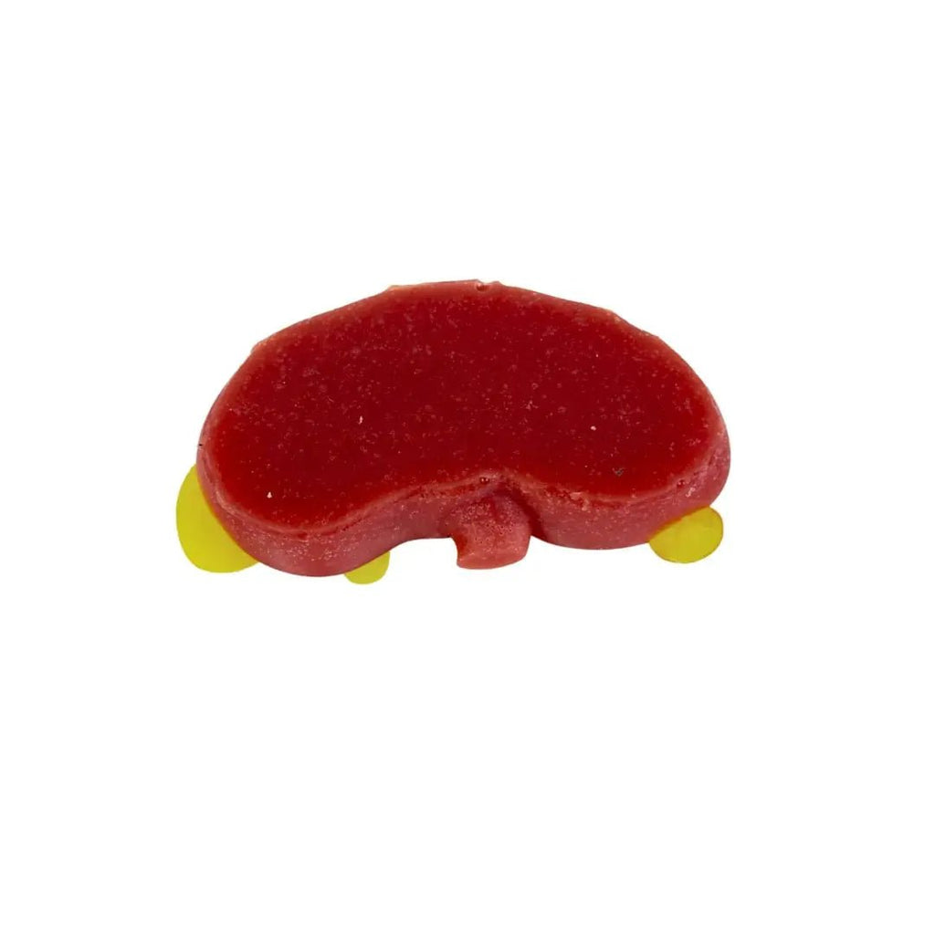 Kidney Cancer Anatomical Training Model - Urology