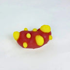 Kidney Cancer Anatomical Training Model - Urology