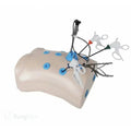 Surgical training simulator laparoscopy