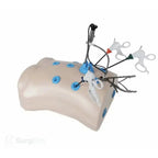 Surgical training simulator laparoscopy