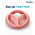 LifeLike 27 mm Bicuspid Aortic Valve – Surgical Training Model - Cardiac Surgery Training