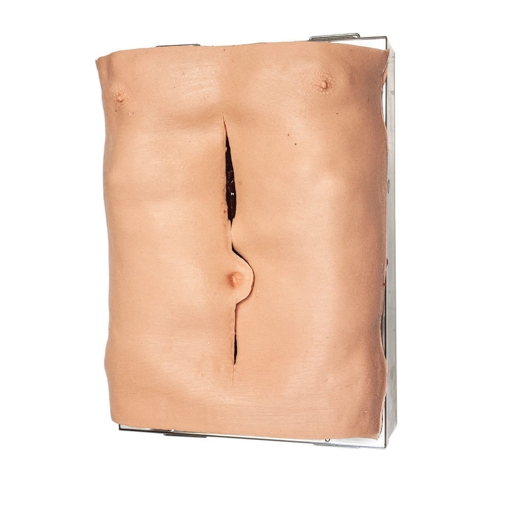 LifeLike AAA Abdomen Simulator - Advanced Surgical Simulation