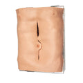 LifeLike AAA Abdomen Simulator - Advanced Surgical Simulation