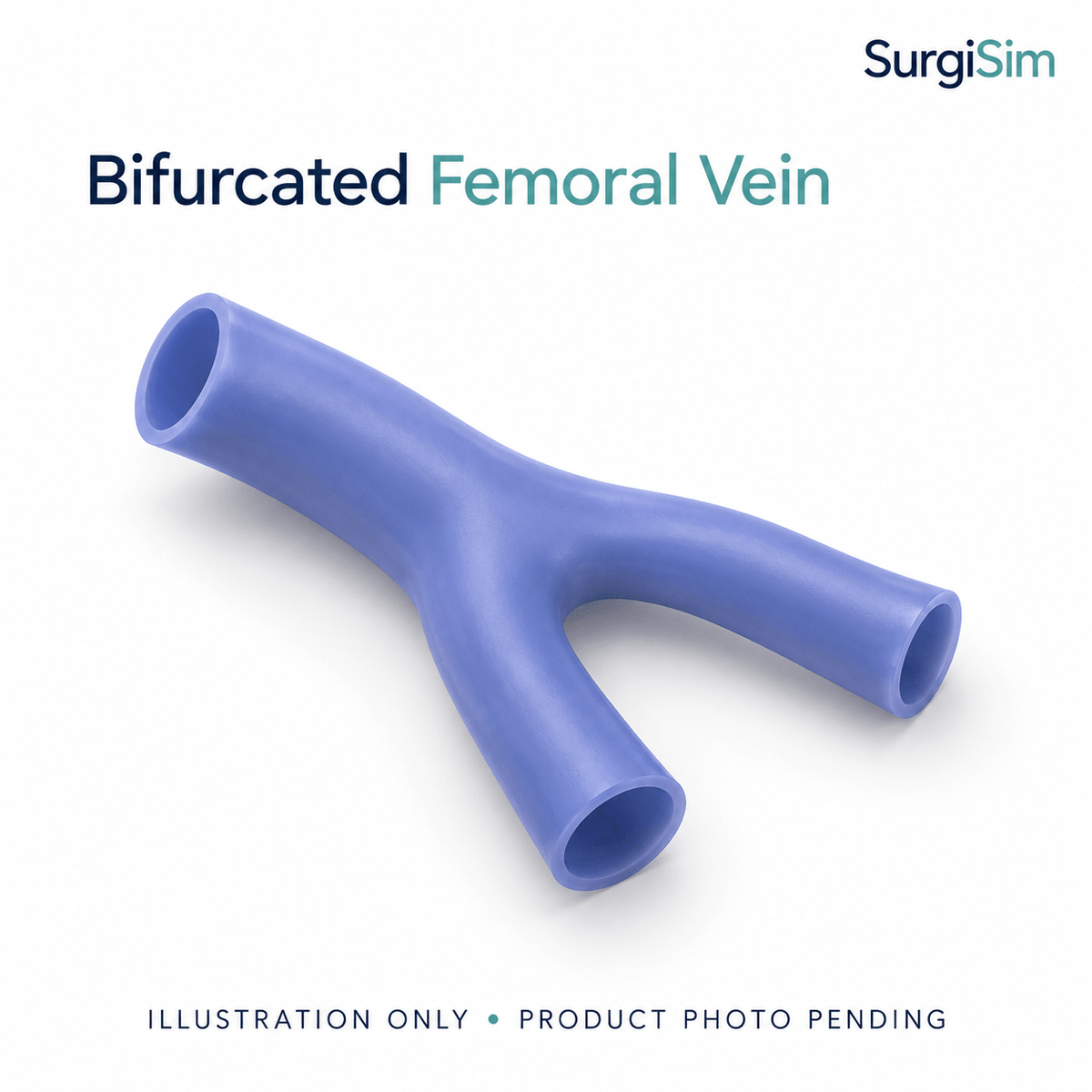 LifeLike Bifurcated Femoral Vein – Vascular Training Model - Vascular Surgery Training