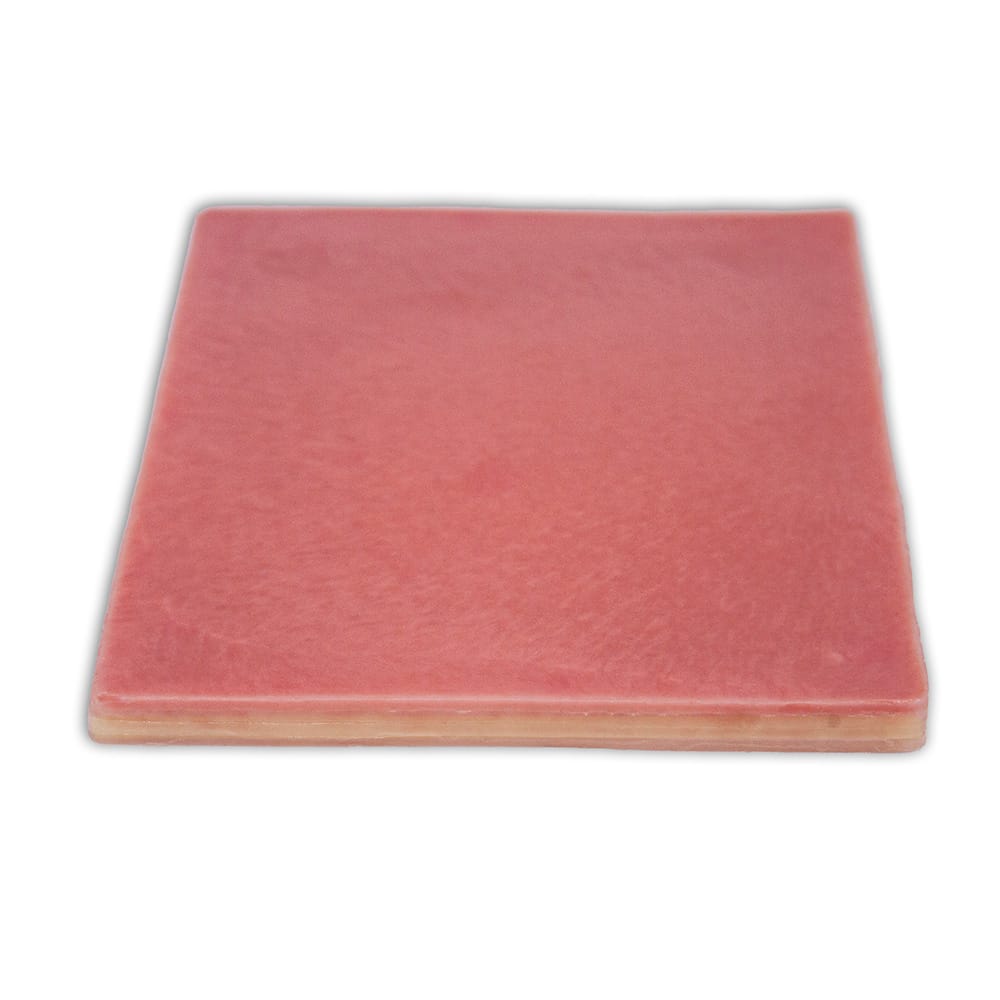 LifeLike BioTissue Abdominal Multilayer Skin Model | Surgical Suturing & Tissue Dissection Trainer - Suturing & Surgical Skills Training