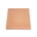 LifeLike BioTissue Abdominal Multilayer Skin Model | Surgical Suturing & Tissue Dissection Trainer - Suturing & Surgical Skills Training