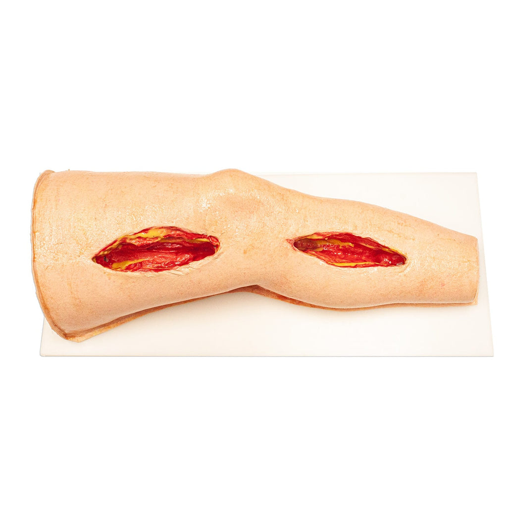 LifeLike BioTissue Femoral Leg Simulator - Advanced Surgical Simulation