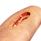 LifeLike BioTissue Long Femoral Leg Simulator - Advanced Surgical Simulation