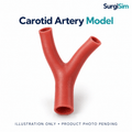 LifeLike Carotid Artery – Vascular & Endarterectomy Training Model - Vascular Surgery Training