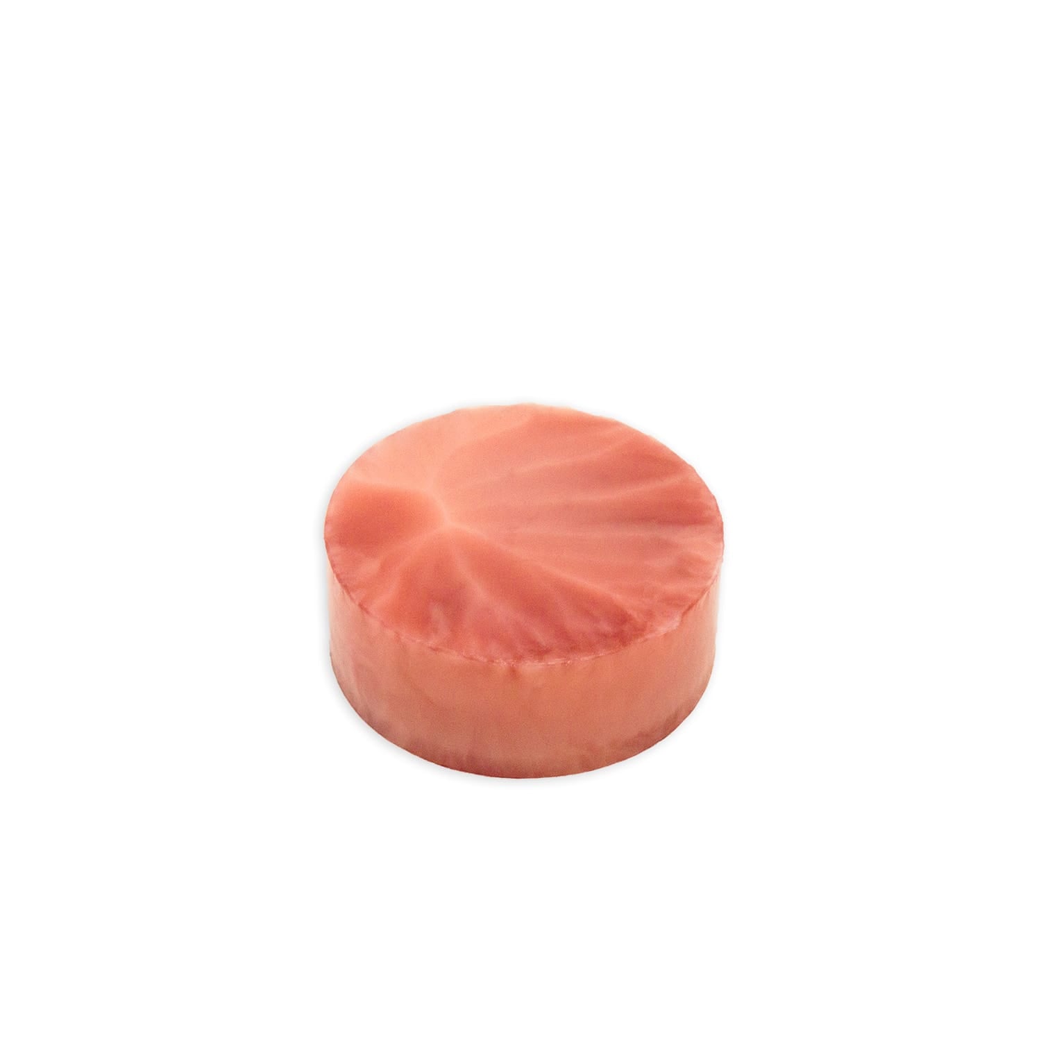LifeLike Cervix Biopsy Disc Model – Cervical Biopsy & LEEP Trainer - Obstetrics & Gynaecology Training