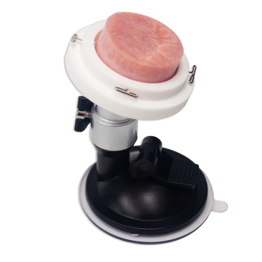 LifeLike Cervix Biopsy Disc Model – Cervical Biopsy & LEEP Trainer - Obstetrics & Gynaecology Training