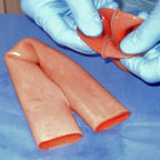 LifeLike Double-Layer Bowel – Intestinal Anastomosis Training Model - General Surgery Training