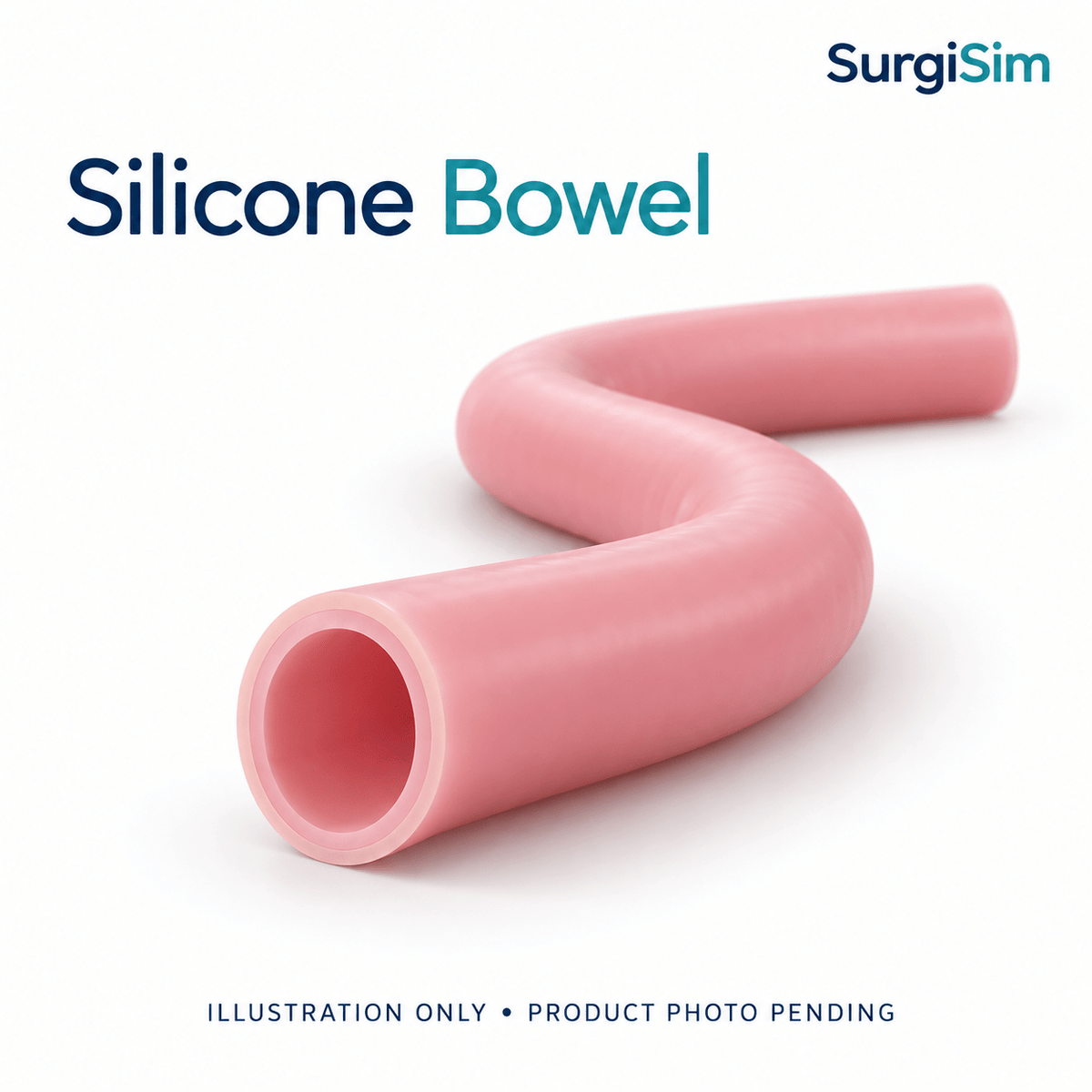 LifeLike Double-Layer Silicone Bowel – Surgical Training Model - General Surgery Training