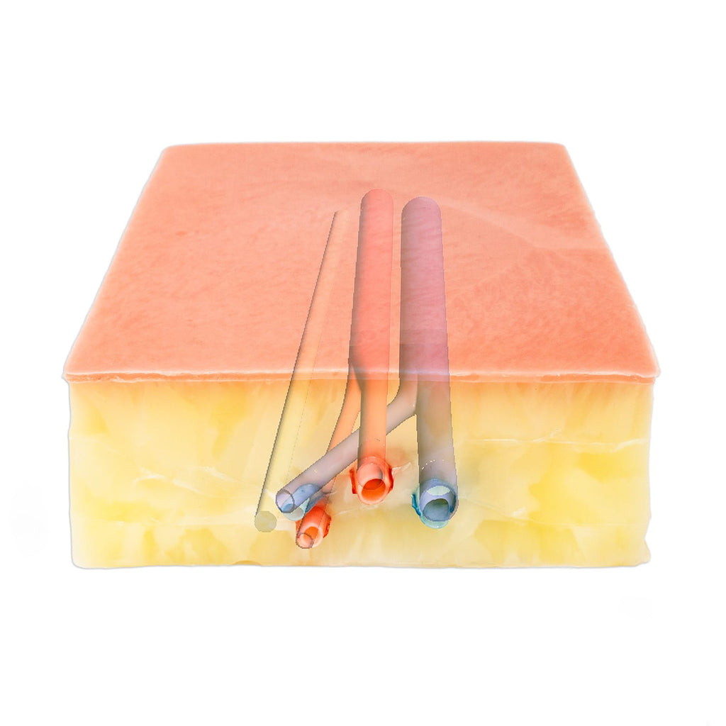 LifeLike Embedded Femoral Groin Model – Endarterectomy Simulator - Vascular Surgery Training