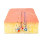 LifeLike Embedded Femoral Groin Model – Endarterectomy Simulator - Vascular Surgery Training