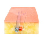 LifeLike Embedded Femoral Groin Model – Endarterectomy Simulator - Vascular Surgery Training