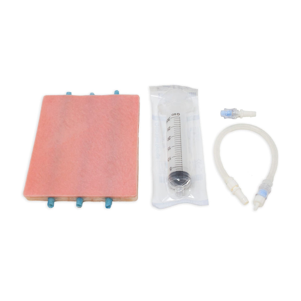LifeLike Embedded Veins Venipuncture Model – Ultrasound & IV Access Trainer - Vascular Surgery Training