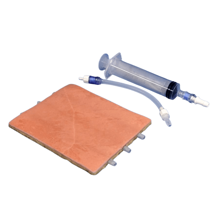 LifeLike Embedded Veins Venipuncture Model – Ultrasound & IV Access Trainer - Vascular Surgery Training