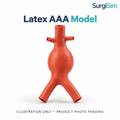 LifeLike Latex AAA Model – Abdomen Simulator Replacement - Vascular Surgery Training