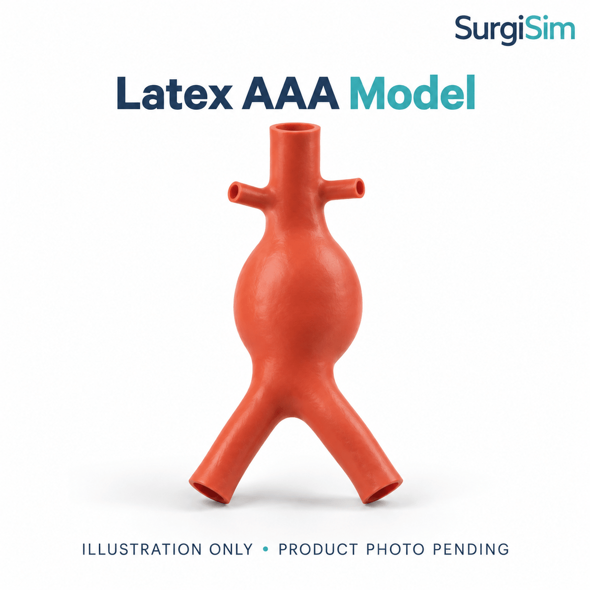 LifeLike Latex AAA Model – Abdomen Simulator Replacement - Vascular Surgery Training