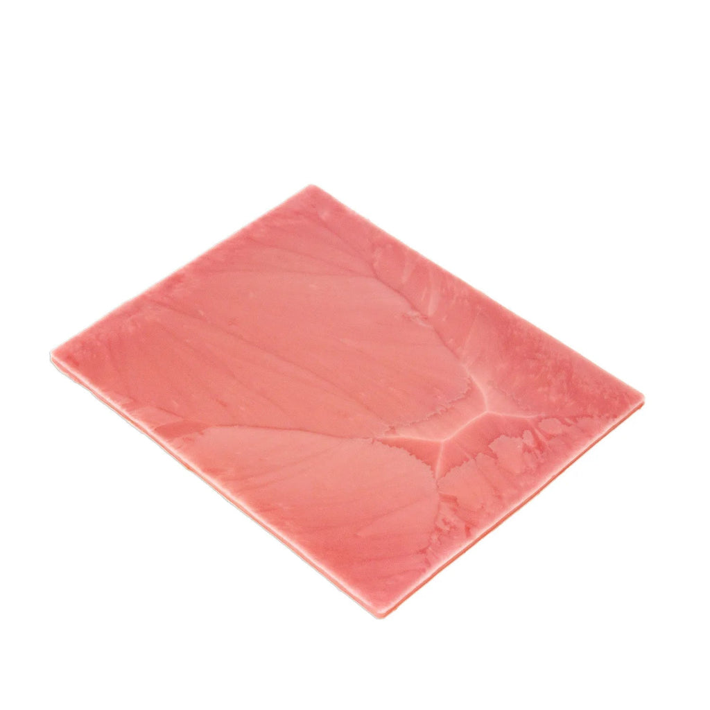 LifeLike Stomach Tissue Sheet – Gastric Bypass Surgical Training Model - General Surgery Training