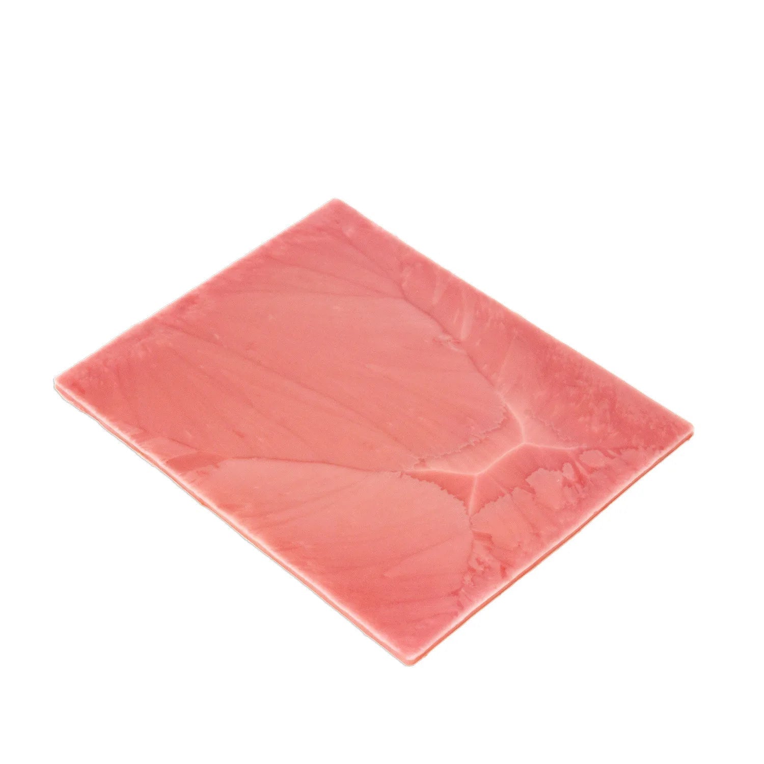 LifeLike Stomach Tissue Sheet – Gastric Bypass Surgical Training Model - General Surgery Training