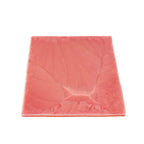 LifeLike Stomach Tissue Sheet – Gastric Bypass Surgical Training Model - General Surgery Training