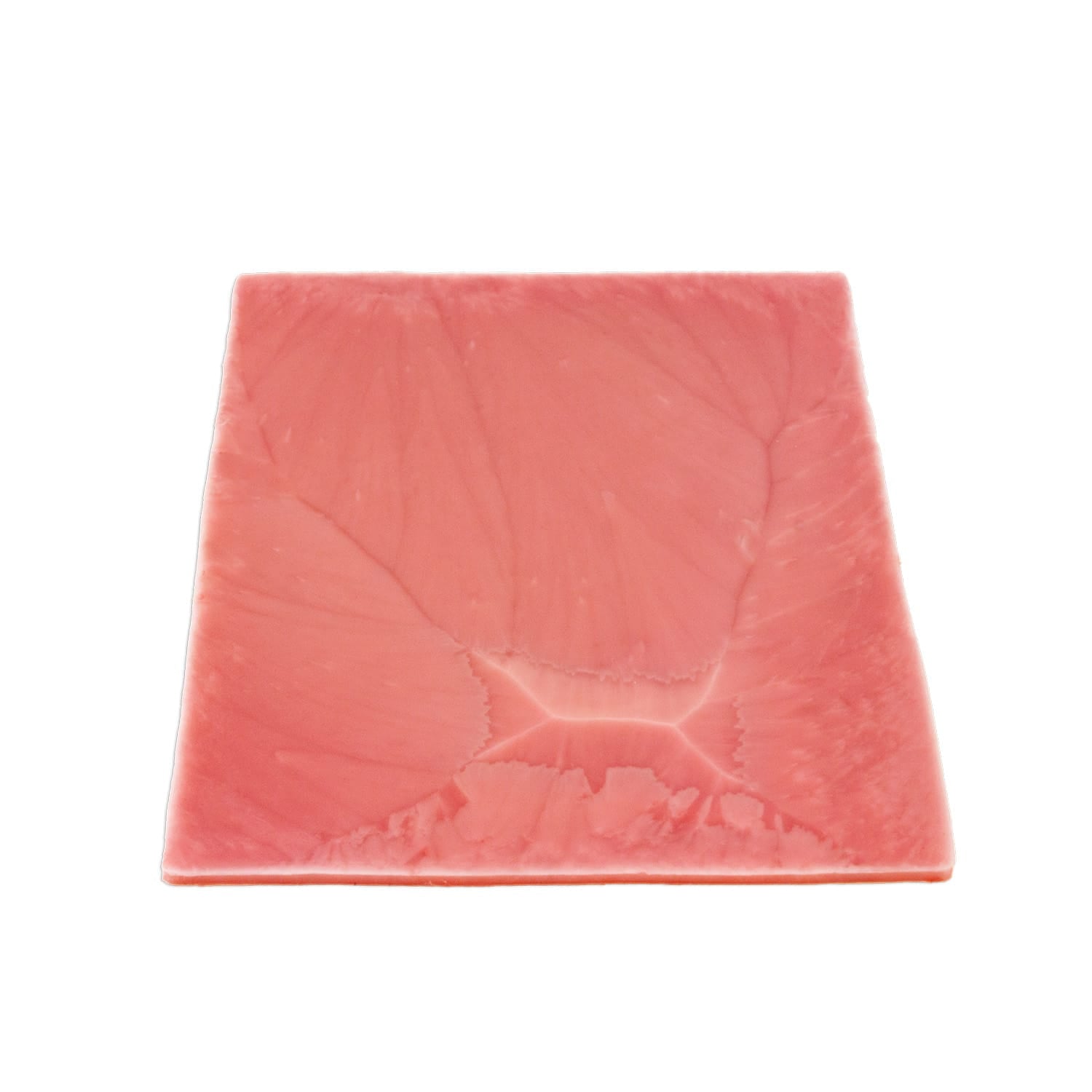 LifeLike Stomach Tissue Sheet – Gastric Bypass Surgical Training Model - General Surgery Training
