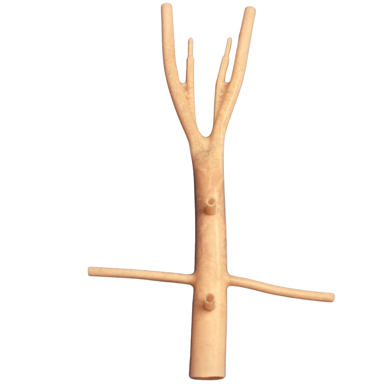 LifeLike Vena Cava Model – Open Vascular Repair Training Simulator - Vascular Surgery Training
