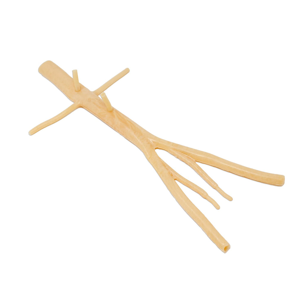 LifeLike Vena Cava Model – Open Vascular Repair Training Simulator - Vascular Surgery Training