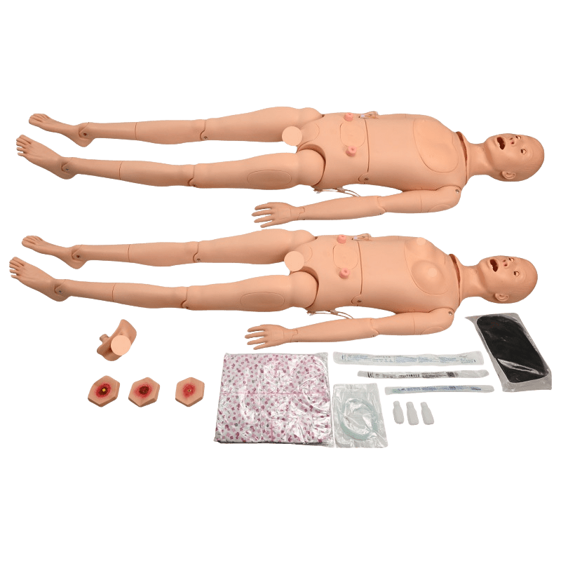 Male/Female Interchangeable Nursing Training Simulator - Nursing Manikins