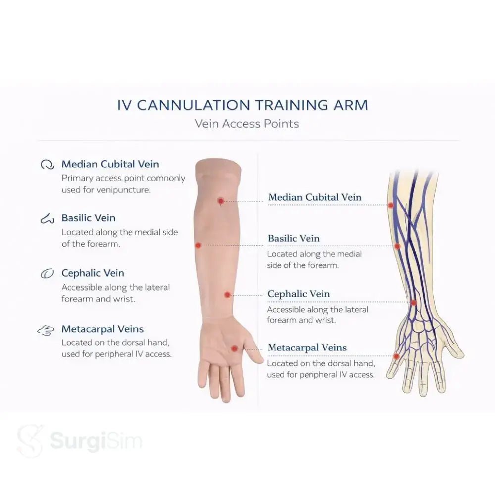 Medical Injection Training Arm | Venipuncture & IV Injection Practice Simulator - Injection, IV & Venipuncture Training Models