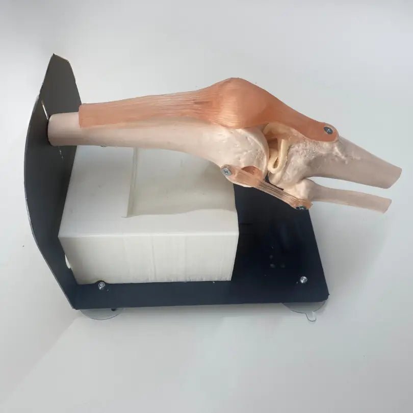 Meniscus Arthroscopy Training Kit - Knee Model - PraticMed - Arthroscopy Training Kits