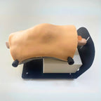 Meniscus Arthroscopy Training Kit - Knee Model - PraticMed - Arthroscopy Training Kits