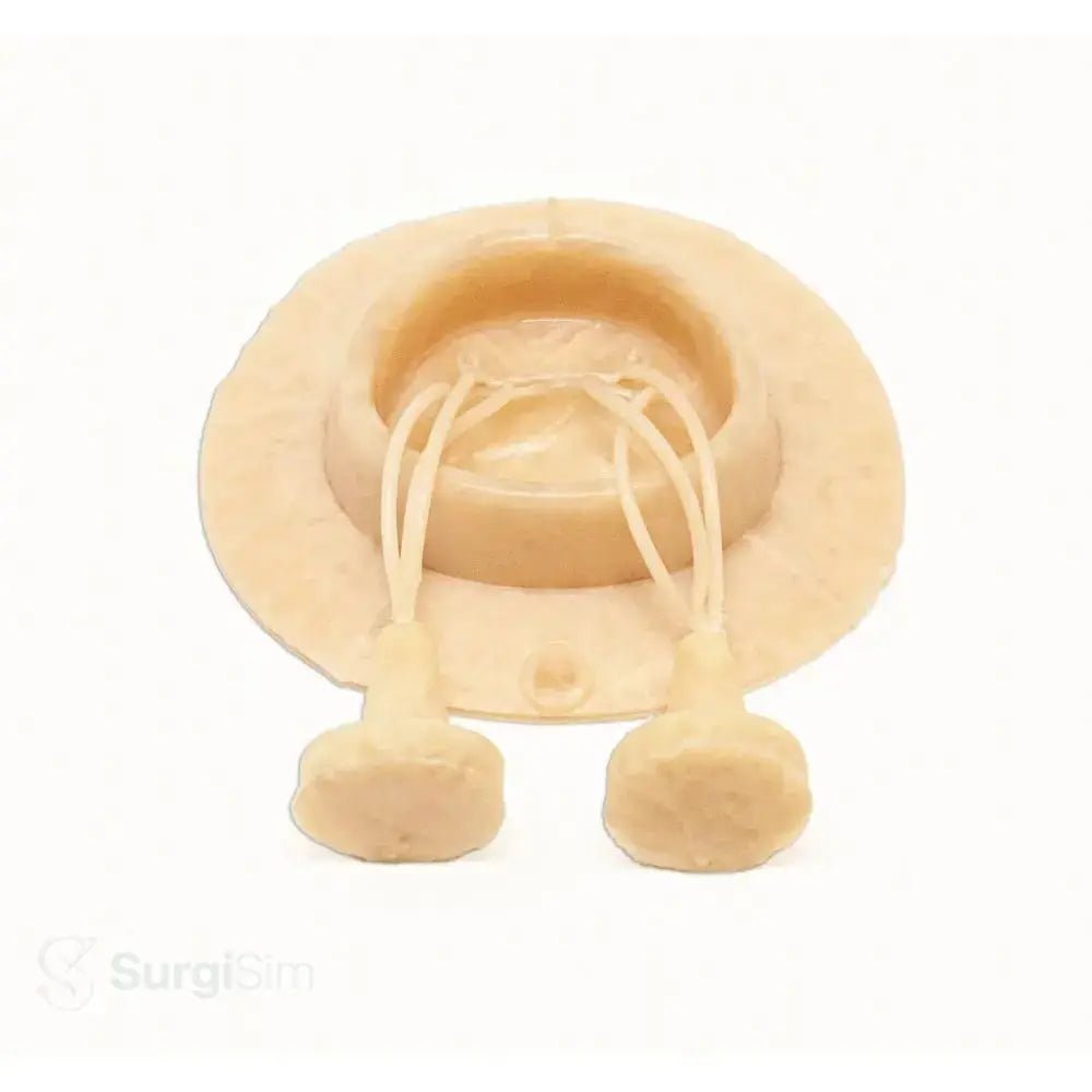 Mitral valve model for cardiac repair training