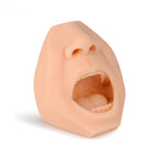 Nasal & Oral Swab Collection Training Head - ENT & Examination