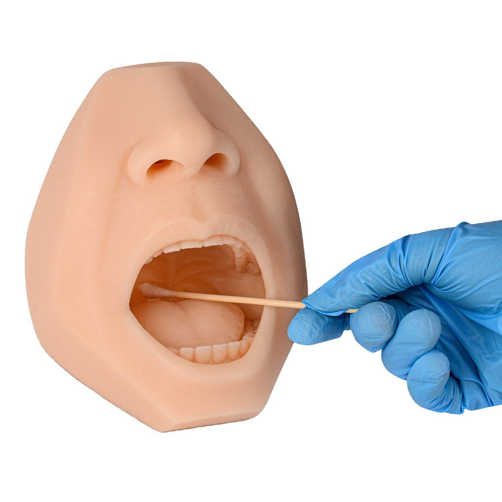 Nasal & Oral Swab Collection Training Head - ENT & Examination